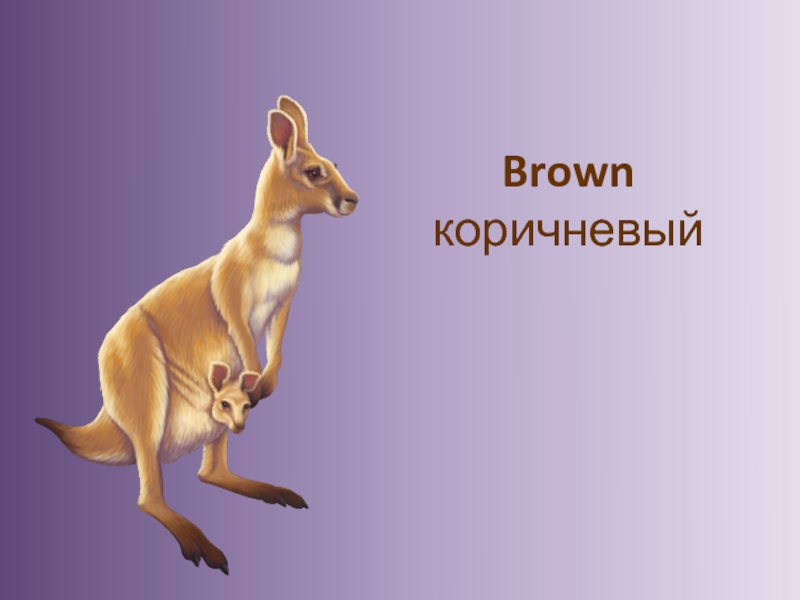 Brown коричневый