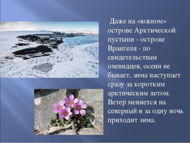 Зона арктических пустынь 4 класс окружающий мир презентация школа россии презентация