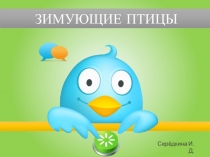 Презентация к проекту Зимуюшие птицы о синице.