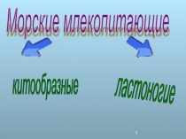 Презентация к уроку окружающего мира