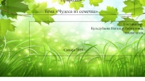 Конкурс на лучший стенд Эколята – молодые защитники Природы Тема Чудеса из семечка