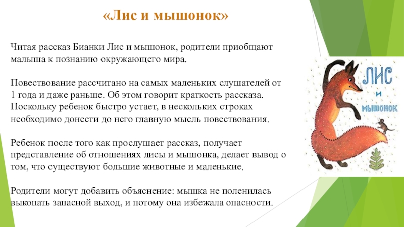 Читая рассказ Бианки Лис и мышонок, родители приобщают малыша к познанию окружающего мира. Повествование рассчитано на самых