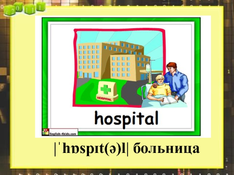 The animal hospital презентация 4 класс spotlight