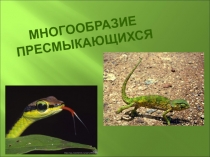 Презентация  Многообразие пресмыкающихся