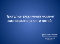 Презентация Прогулка в ДОУ