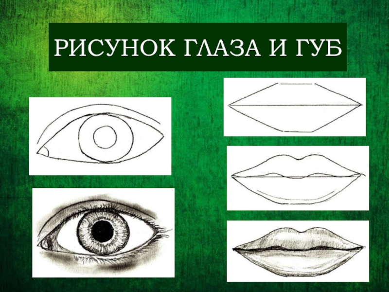 Выполни рисунок глазами. Глаза рисунок. Урок изо 6 класс. Зарисовки глаз изо 6 класс. Схема глаз 6 класс изо.