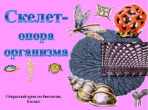 Скелет - опора организма