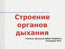 Презентация по биологии на тему: Строение органов дыхания 8 класс
