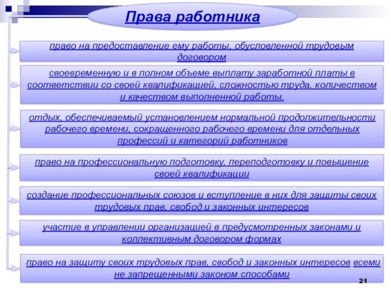 Трудовое право проект по обществознанию