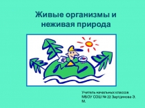 Презентация к уроку Живые организмы и неживые предметы