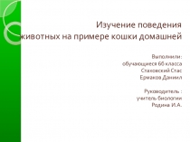 Научно-исследовательский проект по биологии на тему: Изучение поведения животных на примере кошки домашней. 6 класс.