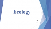 Презентация по английскому языку на тему: Ecology (6 класс)