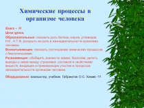 Химические процессы в организме человека