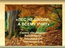 Проект по произведениям Сладкого Н.И. Лес не школа - всему научит