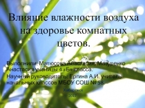 Презентация к исследованию на тему: Влияние влажности воздуха на здоровье комнатных цветов.