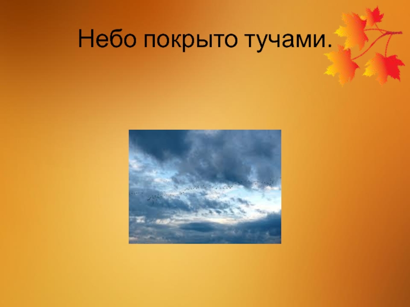 Небо покрыто. Небо покрытое тучами. Покроет небо. Небосвод покрывают:. Свинцовая туча покрыла небо - словосочетания.