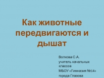 Презентация к уроку Окружающий мир Как животные передвигаются и дышат