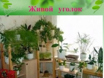 Презентация. Викторина Живой уголок