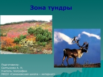 Презентация по географии для коррекционных образовательных учреждений на тему Города тундры: Мурманск, Нарьян - Мар (7 класс)