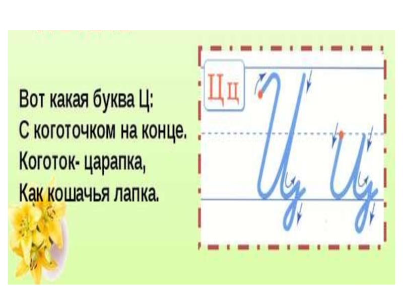 Буква ц 1 класс. Буква ц презентация. Строчная и заглавная буква ц. Проект на тему буква ц. Буква ц прописная и строчная.