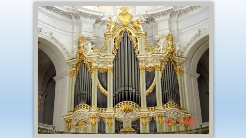 Видном орган. Grand Organ. Орган 18 века фото. Цветок Золотая органа.