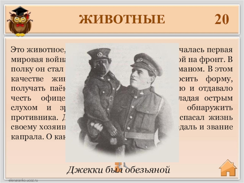 Первая мировая начало и конец даты. Когда началась первая мировая. Из-за чего началась первая мировая.