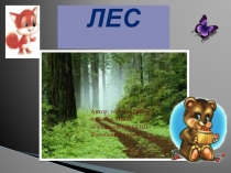 Презентация по окружающему миру Жизнь леса. Лес - природное сообщество