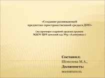 Создание развивающей предметно-пространственной среды в ДОО
