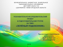 Презентация проекта Зелёный подоконник