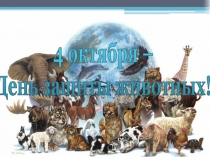 Классный час День защиты животных