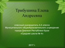 Презентация к конкурсу Самый лучший классный руководитель