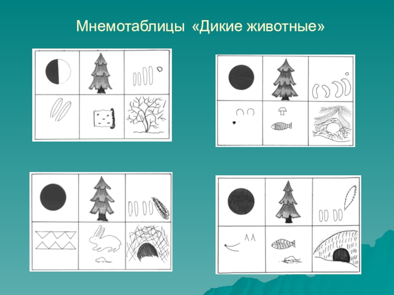 Схема рассказа о животном для дошкольников