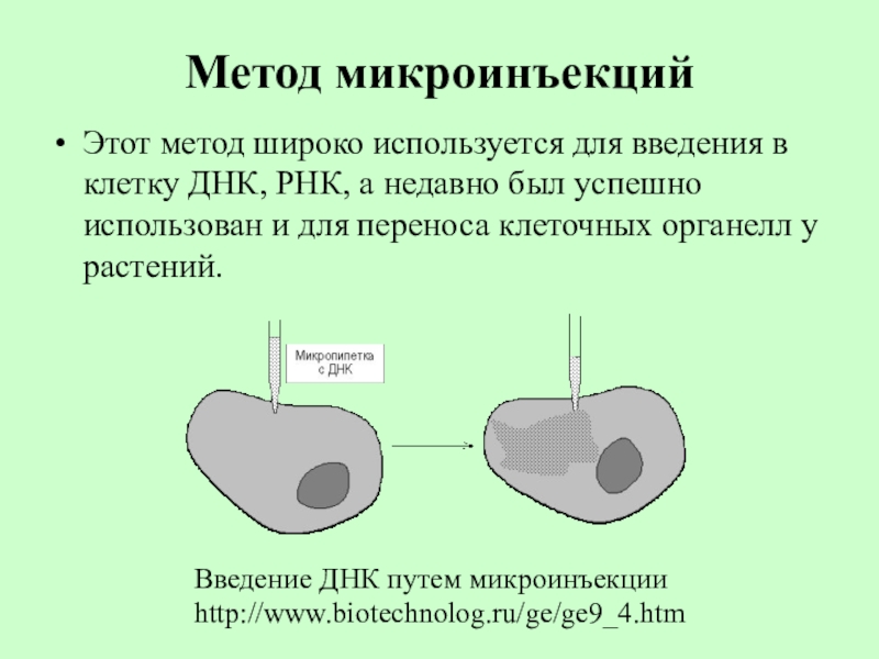 Метод широко. Метод микроинъекции. Метод микроинъекции ДНК. Методы введения ДНК В клетку. Метод микроинъекций ДНК В клетку.