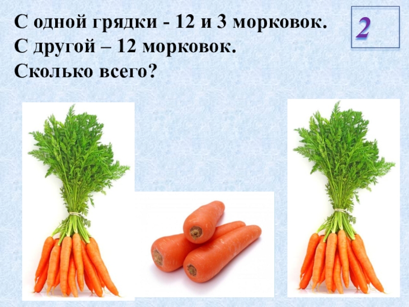 Сколько гр морковь. Морковь в граммах. 300 Грамм моркови. 100 Г моркови. Сколько грамм в моркови.