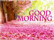 Презентация к уроку A Whale of a time!''