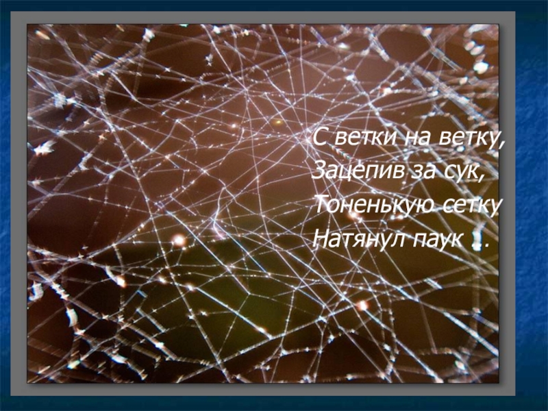 Веточки деревьев с росой и паутинкой изо 2 класс презентация