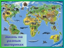 Жизнь на разных материках.