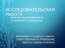 : Влияние пасынкования на урожайность помидоров.