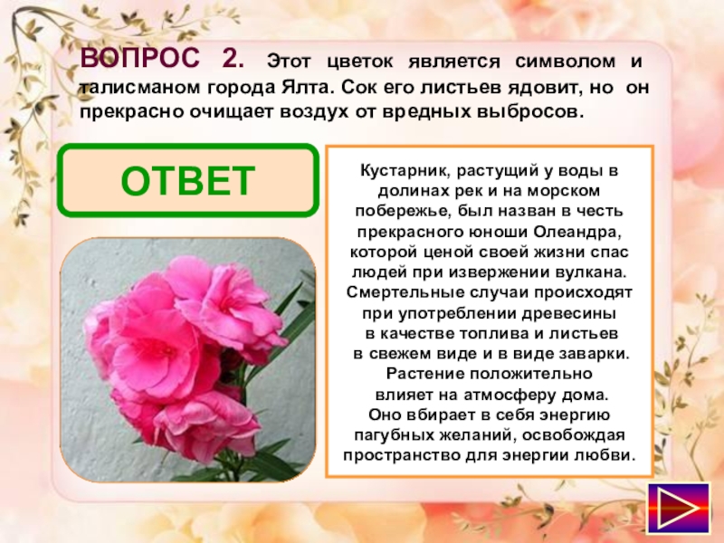 Какой из цветов не является. Какой цветок является символом истинной любви. Цветок символ материнской любви. Какой цветок символизирует материнство. Какой цветок считается любви.