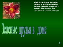 Презентация по биологии Зелёные друзья в доме