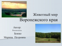 Презентация Животный мир Воронежского края
