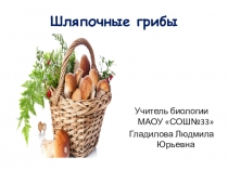 Шляпочные грибы