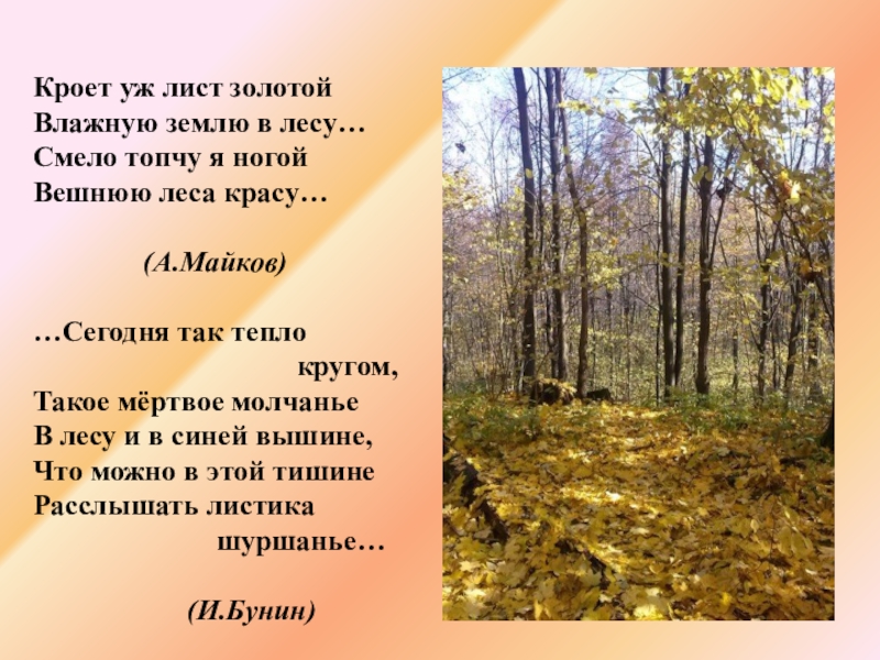 Стихотворение майкова осень. Стихотворение Майкова кроет уж лист золотой. Осень кроет уж лист золотой влажную землю в лесу. Русский лес в поэзии.