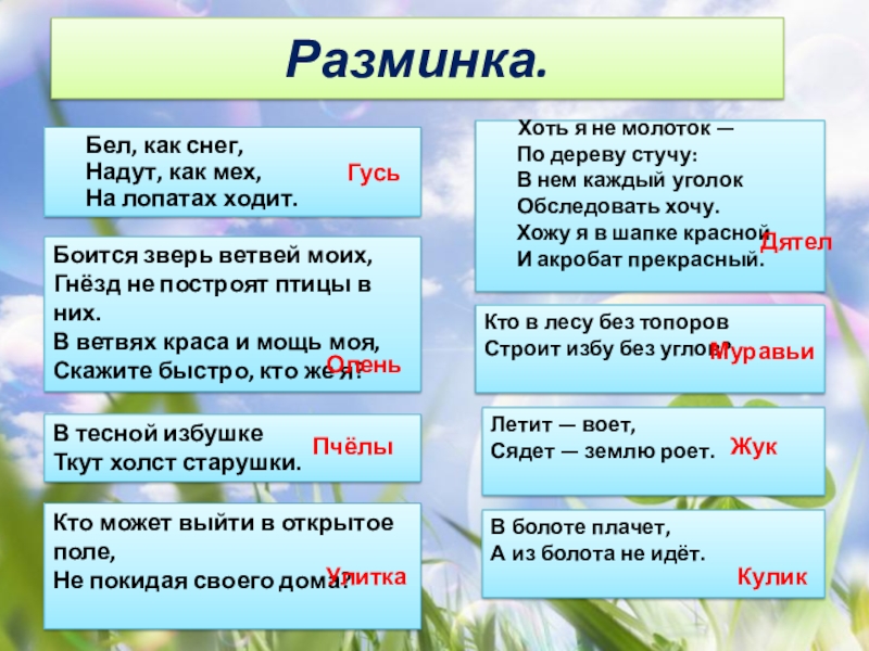 Загадка природы характеристика и описание. (Загадка)бел,как снег,надут,как мех,на лопатах ходит. Бел как снег надут как мех на лопатах ходит. Бел как снег на лопатах ходит. Игра-загадки природы.