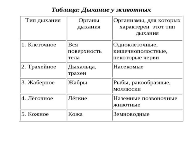 Животные подготовка к огэ по биологии презентация