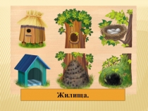 Презентация по ознакомлению с окружающим миром для детей с недостатками слуха на тему Жилища
