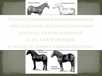 Презентация по биологии Генетика человека. Наследственные болезни