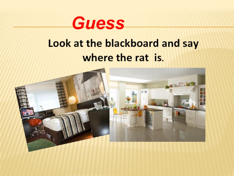 Guess Look at the blackboard and say where the rat is.