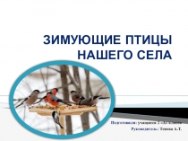 Презентация проект к уроку окружающий мир на тему Зимующие птицы нашего села