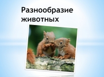 Презентация по предмету познание мира Разнообразие животных